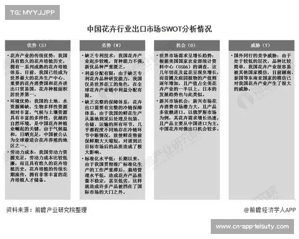 足球俱乐部转会利润分析如何影响市场格局与未来发展趋势